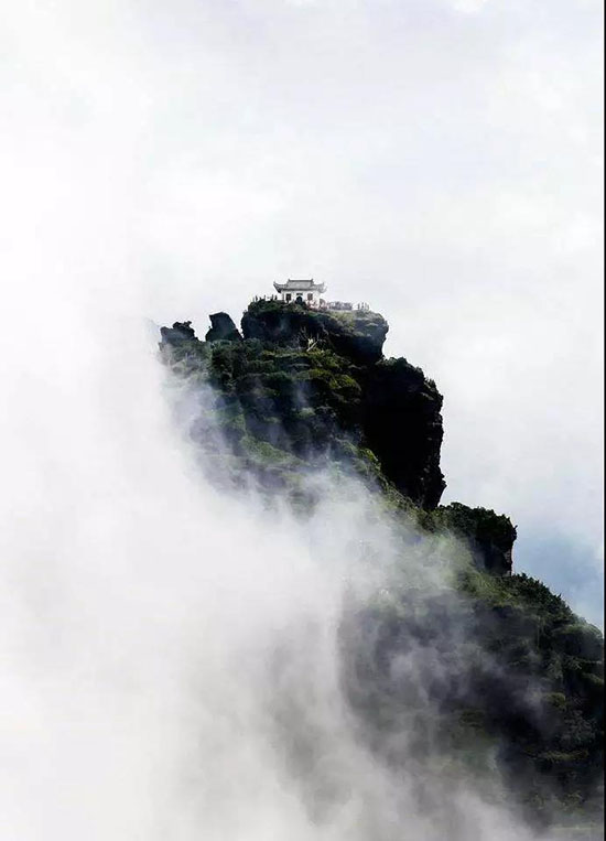 為什麼是貴州梵淨山？