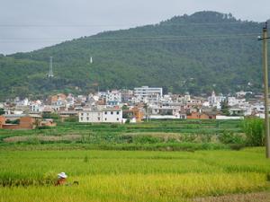 （圖）大莊回族鄉