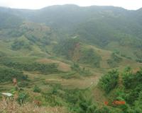 永平鎮箐門口村