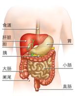 急性直腸炎