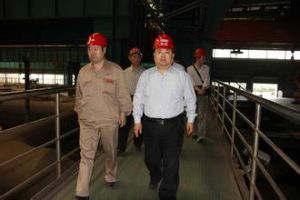 汪濤同志帶隊考察舞陽鋼鐵有限責任公司