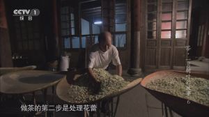 紀錄片《茶，一片樹葉的故事》鏡頭