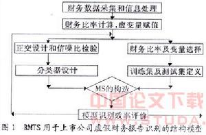 虛假財務報告