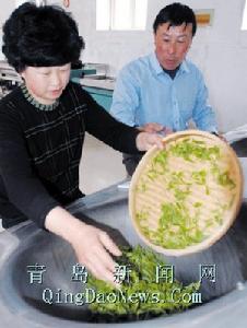 餘姚仙茗