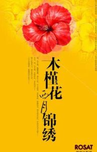 木槿花西月錦繡[2018年李小婉製作電視劇]