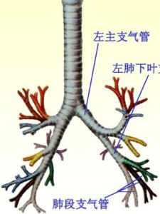 支氣管痙攣