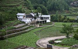 雙洞村[貴州省六盤水市鐘山區月照鄉下轄村]