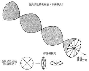 （圖）自然光和部分偏振光