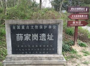 潛山薛家崗遺址