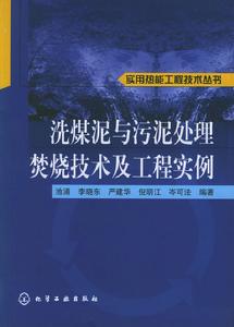 洗煤泥與污泥處理焚燒技術及工程實例