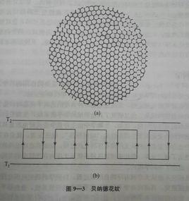 貝納德花紋