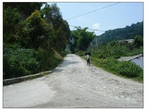 進村道路