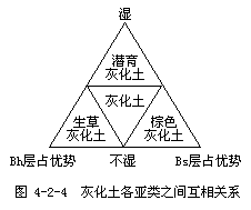 灰化土