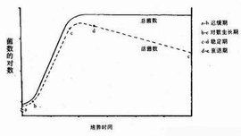 微生物生長曲線