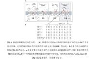 鈉通道和蠍毒受體位點圖