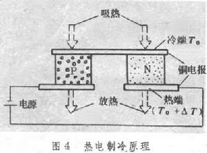 （圖）電冰櫃的秘密