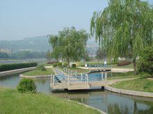 桃河公園生態島