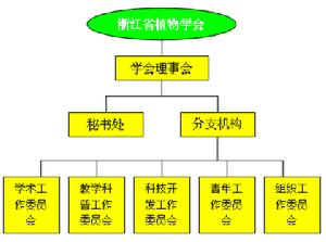 分支機構組成