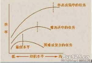 耶基斯—多德森定律