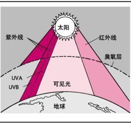 光敏反應