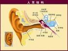 中耳及內耳疾病