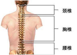 骨痹強直性脊柱炎