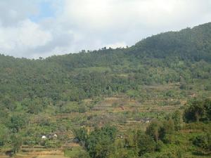 麥子山自然村