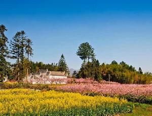 五里村[安徽省黟縣碧陽鎮五里村]