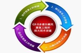 GX-B多維白癜風康復工程