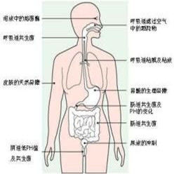 非特異性免疫