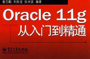 Oracle 11g從入門到精通