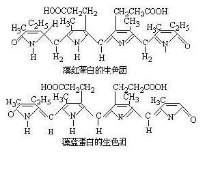 藻色素