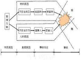 啄食順序理論