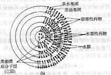 靶向製劑