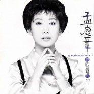 淚海[孟庭葦在1995年發行的原唱歌曲]