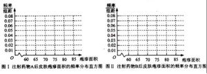 頻率分布直方圖