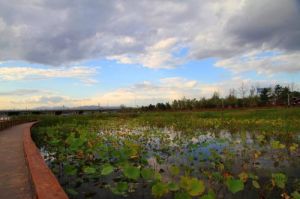 宛平湖濕地公園