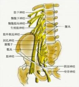 股神經損傷