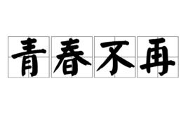 青春不再[詞語]