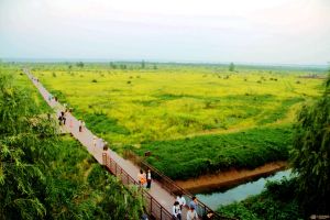 鄭州黃河國家濕地公園