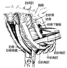 骨膜炎