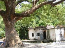 里溪村[廣東省中山市板芙鎮裡溪村]