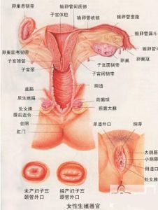 外陰瘙癢症