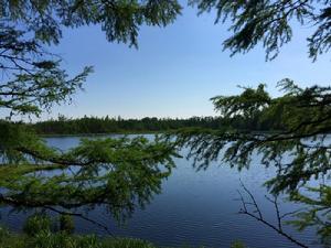 根河源國家濕地公園馬蘭湖