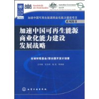 加速中國可再生能源商業化能力建設發展戰略