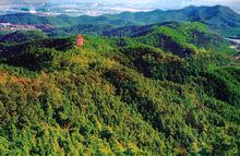 圭峰山[廣東省江門市圭峰山國家森林公園]