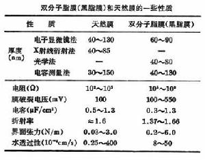 雙分子脂膜