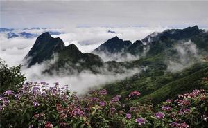 九天龍鳳景觀群