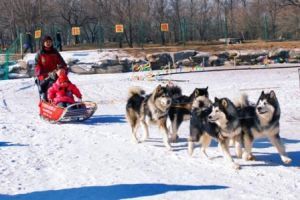 踏雪真人