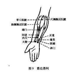 郄門穴